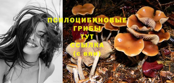 MESCALINE Ладушкин
