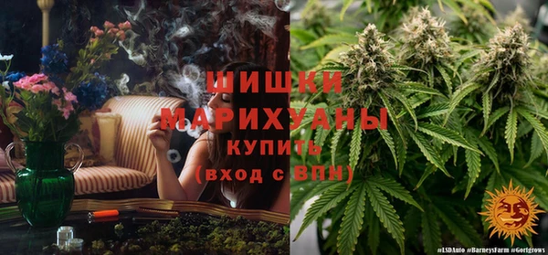 дживик Лабытнанги
