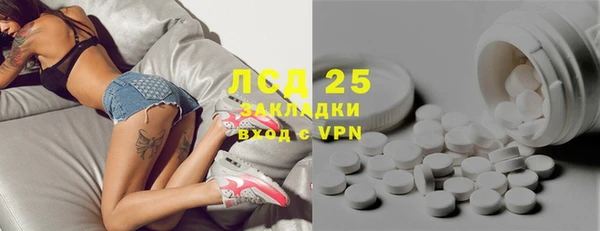 индика Вяземский
