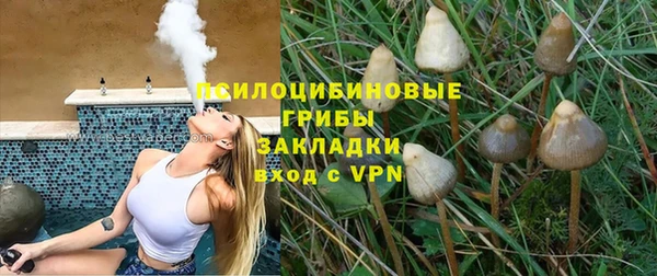 дурь Вязьма