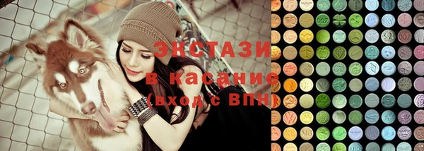 индика Вяземский