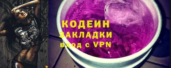 прущие грибы Куйбышев