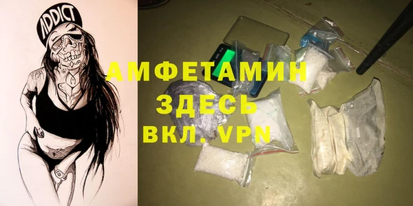 индика Вяземский