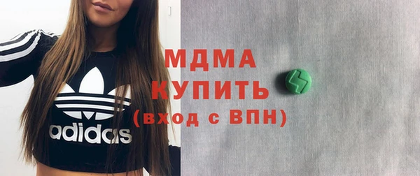индика Вяземский