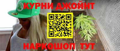 крисы Жуковский