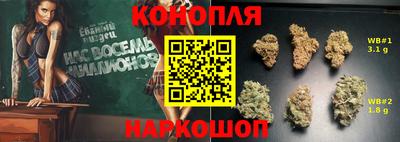 стафф Будённовск