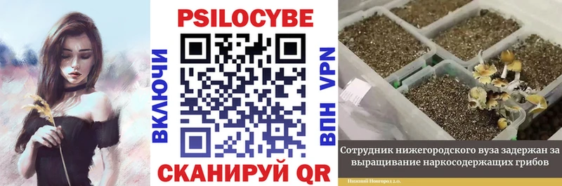 цена наркотик  Гуково  Псилоцибиновые грибы Magic Shrooms 