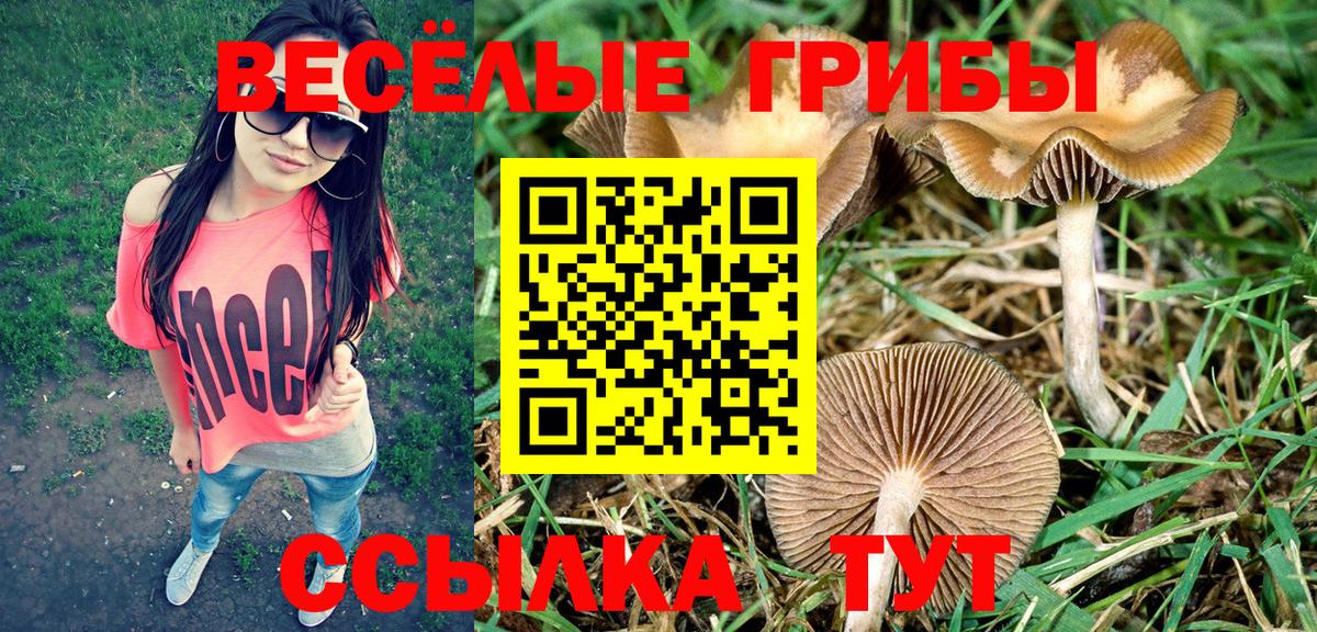 Галлюциногенные грибы мухоморы Гуково