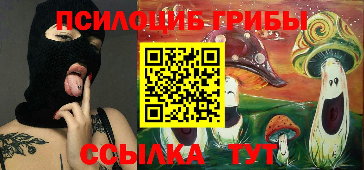 Псилоцибиновые грибы мицелий  Вход с VPN  Гуково 