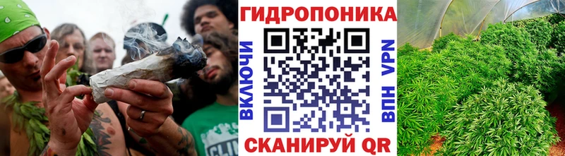 купить наркотики цена  ОМГ ОМГ зеркало  Бошки марихуана марихуана  Гуково 